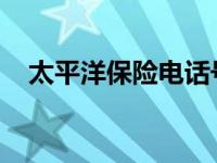 太平洋保险电话号码大全及服务质量解析